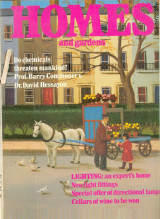 Homes and Gardens Nov 1972