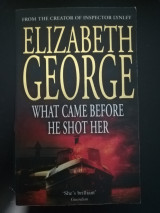 What came before he shot her