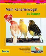 Mein Kanarienvogel zu Hause