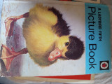 A Ladybird Fifth Picture Book