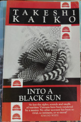 Into a Black Sun