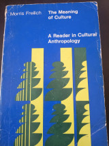 The meaning of culture