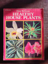 How to grow healthy house plants