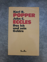 Das Ich und sein Gehirn