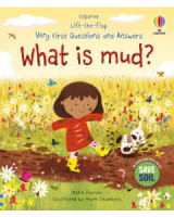 What is mud?