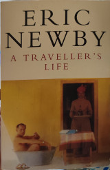 A travellers life