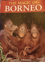 The magic of Borneo