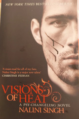 Visions of Heat