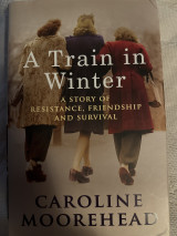 A train in winter