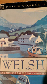 Teach yourself welsh
