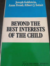 Beyond the Best Interests of the Child