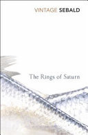 The Rings of Saturn