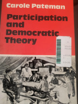 Participation and democratic theory