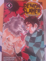 Demon slayer : kimetsu no yaiba, vol.4