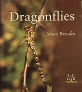 Dragonflies