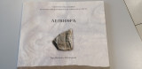 Λείβηθρα