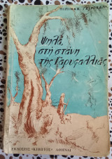 Ψηλά στη στάνη της Γαρυφαλλιάς