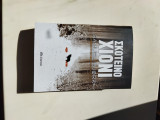 Σκοτεινό χιόνι