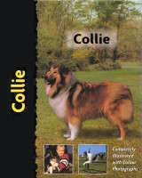 Collie (Κόλεϊ)