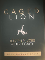 Caged Lion