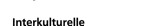 Interkulturelle Kommunikation