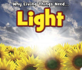 Why Living Things Need Light