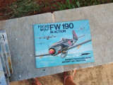 Fw 190 in Action
