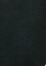 Berserk Deluxe Volume 2
