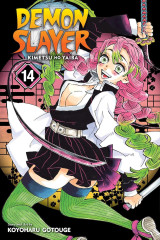 Demon Slayer – Kimetsu no Yaiba Vol. 14: The Mu of Muichiro