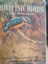 British birds and their nests