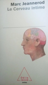 Le cerveau intime