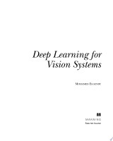 Deep Learning for Vision Systems