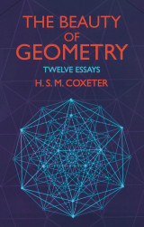The Beauty of Geometry : Twelve Essays