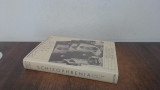 Schizophrenia and the Family: A Practitioner`s Guide to Psychoeducation and Management