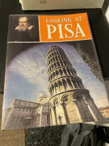 Looking at Pisa