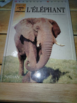 L' éléphant