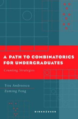 A Path to Combinatorics for Undergraduates: Counting Strategies