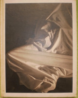 David Salle Photographs 1980 to 1990