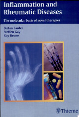 Inflammation and Rheumatic Diseases