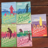 The Miss Seeton Series