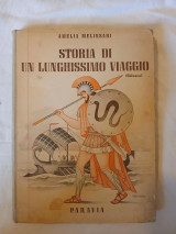 Storia di un Lunghissimo Viaggio (Odissea)