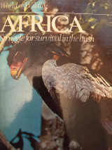 Africa struggle for survival in the bush