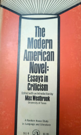 The modern American novel