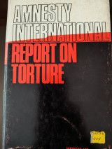 Amnesty International Report on Torture