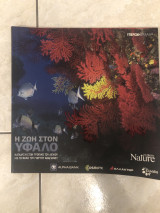 Η ζωή στον ύφαλο