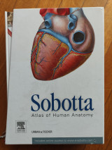 Sobotta Atlas of Human Anatomy Package, 15th editio