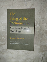 The Being of the Phenomenon - Merleau-Ponty's Ontology