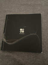 Bts wings