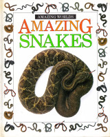 Amazing Snakes