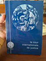 La cour internationale de justice